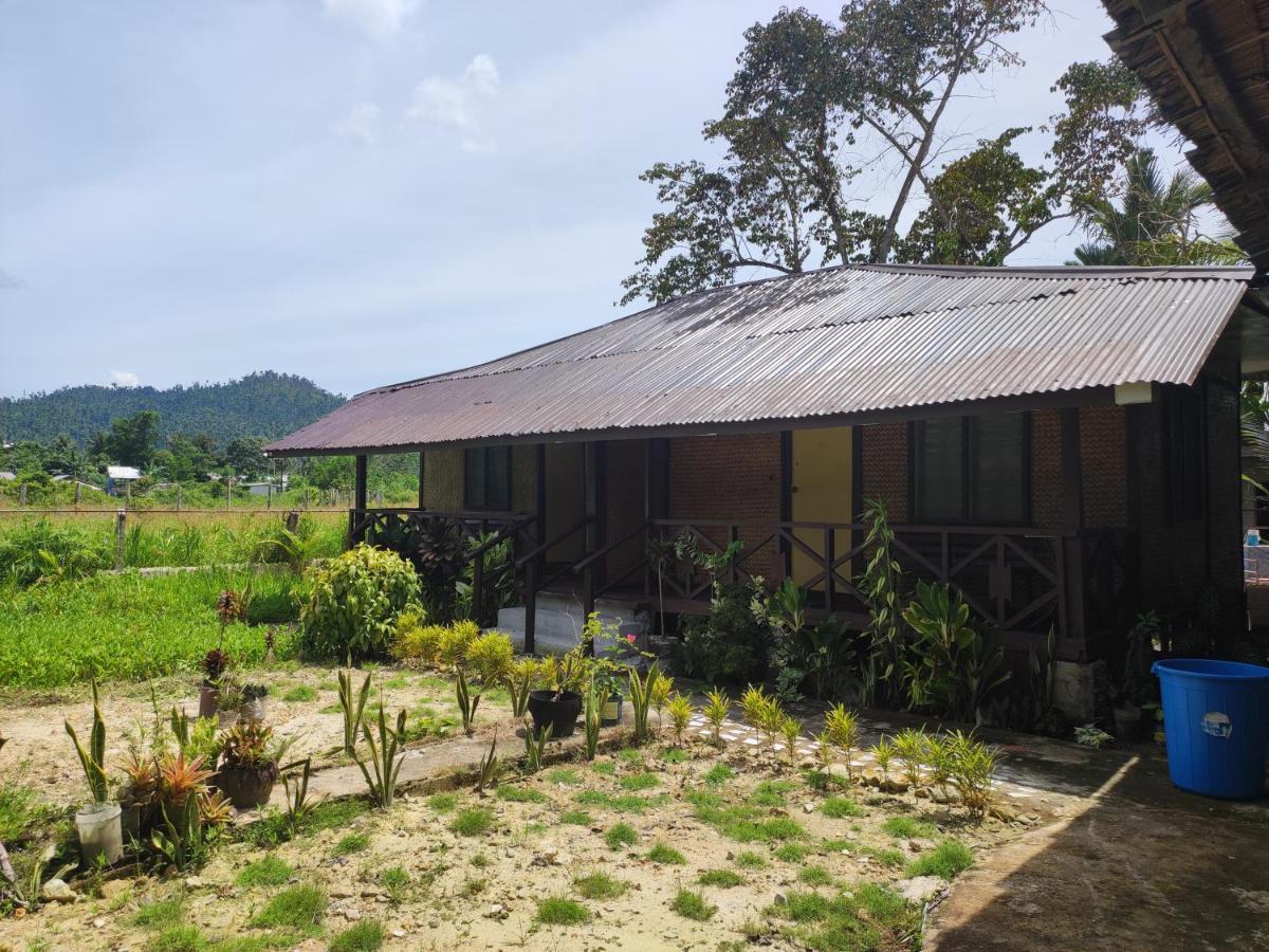 Nelmann'S Nipa Huts Hotel San Vicente  Buitenkant foto