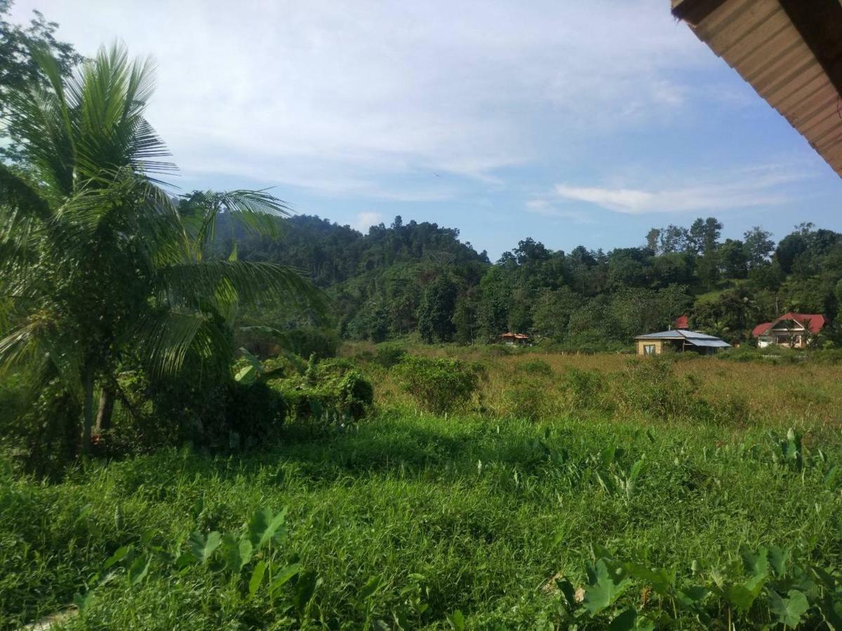 Nelmann'S Nipa Huts Hotel San Vicente  Buitenkant foto